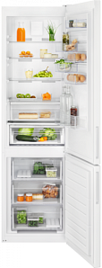 Холодильник  шириной 60 см Electrolux RNC7ME34W2 фото 2 фото 2