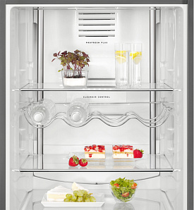 Серый холодильник AEG RCB63326OX фото 3 фото 3