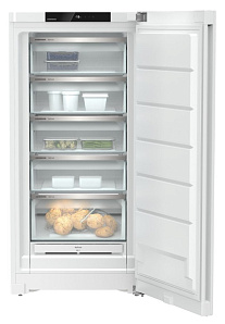 Отдельностоящие холодильники Liebherr Liebherr FNd 6625 фото 2 фото 2