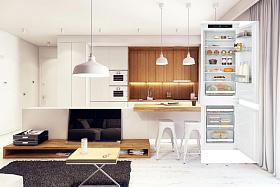 Встраиваемые холодильники шириной 54 см Asko RF31831i фото 2 фото 2
