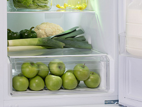 Двухкамерный холодильник с нижней морозильной камерой Sharp SJB320EVWH фото 4 фото 4