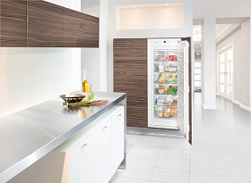 Встраиваемые однодверные холодильники Liebherr Liebherr SIGN 2756 фото 3 фото 3