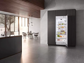 Встраиваемый высокий холодильник Miele K 2802 Vi фото 2 фото 2