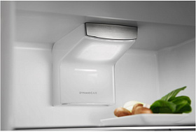 Двухкамерный холодильник Electrolux RNS7TE18S фото 3 фото 3