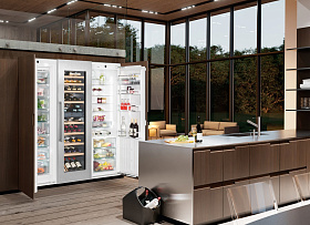 Встраиваемый двухдверный холодильник с морозильной камерой Liebherr SBSWdf 99I5