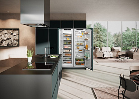 Двухкамерный холодильник Liebherr IXRF 5100 фото 3 фото 3