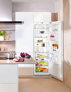 Встраиваемые однодверные холодильники Liebherr Liebherr IK 3520 фото 3 фото 3