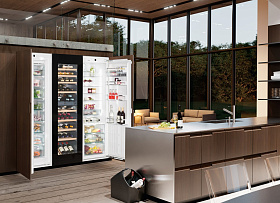 Встраиваемый двухдверный холодильник Liebherr SBSWgb 99I5 фото 3 фото 3