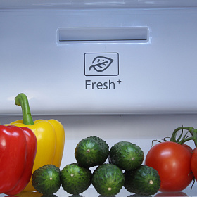 Холодильник с морозильной камерой Hyundai CS4502F белый фото 4 фото 4