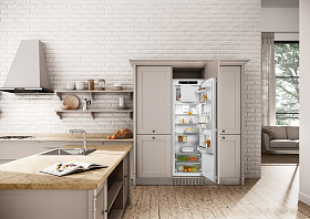 Встраиваемые холодильники Liebherr с зоной свежести Liebherr IRf 5101 фото 4 фото 4