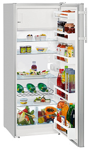 Двухкамерный холодильник Liebherr Kel 2834