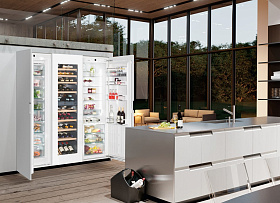 Двухкамерный холодильник шириной 48 см  Liebherr SBSWgw 99I5 фото 2 фото 2