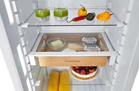 Встраиваемый холодильник без морозильной камера Asko R31842I фото 2 фото 2