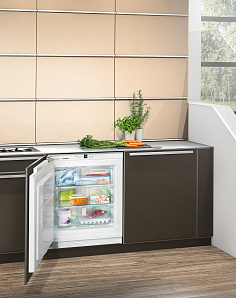 Маленький холодильник Liebherr SUIGN 1554 фото 2 фото 2
