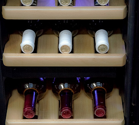Отдельно стоящий винный шкаф Meyvel MV12-BF2 (easy) фото 4 фото 4