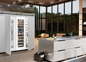 Двухдверные холодильники Liebherr SBSWgw 99I5 фото 4 фото 4