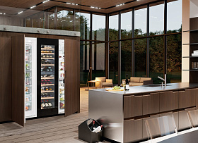Холодильник с отделениям для вина Liebherr SBSWgb 99I5