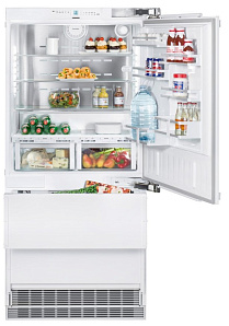 Большой широкий холодильник Liebherr ECBN 6156 фото 2 фото 2