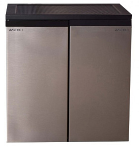 Двухкамерный малогабаритный холодильник Ascoli ACDG355