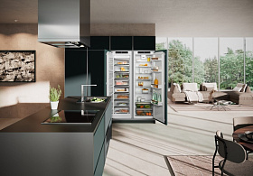 Встраиваемый холодильник side by side Liebherr IXRF 5100 фото 4 фото 4