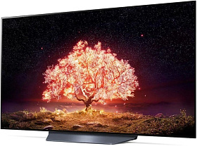 Телевизор LG OLED55B1RLA  55" (140 см) 2021 серебристый фото 3 фото 3