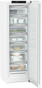 Отдельностоящие холодильники Liebherr Liebherr FNf 5207
