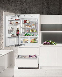 Большой встраиваемый холодильник Liebherr ECBN 5066 фото 2 фото 2