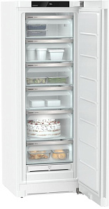 Отдельностоящие холодильники Liebherr Liebherr FNf 5006