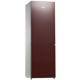 Цветной холодильник Snaige RF 36 NG (Z1AH27)