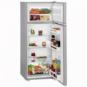 Серебристые двухкамерные холодильники Liebherr Liebherr CTPsl 2521