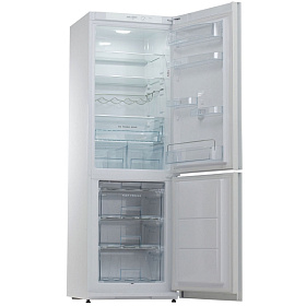 Холодильник Snaige RF 36SM (P10027G)