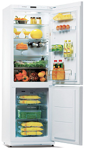 Двухкамерный холодильник Snaige RF 34 NG-Z 100260