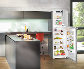 Холодильники Liebherr стального цвета Liebherr CTPesf 3316 фото 4 фото 4