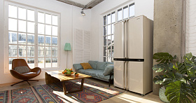 Бежевый холодильник Sharp SJ-F95STBE фото 3 фото 3